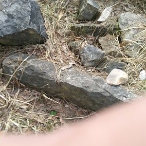 Meet your Posher, Janice